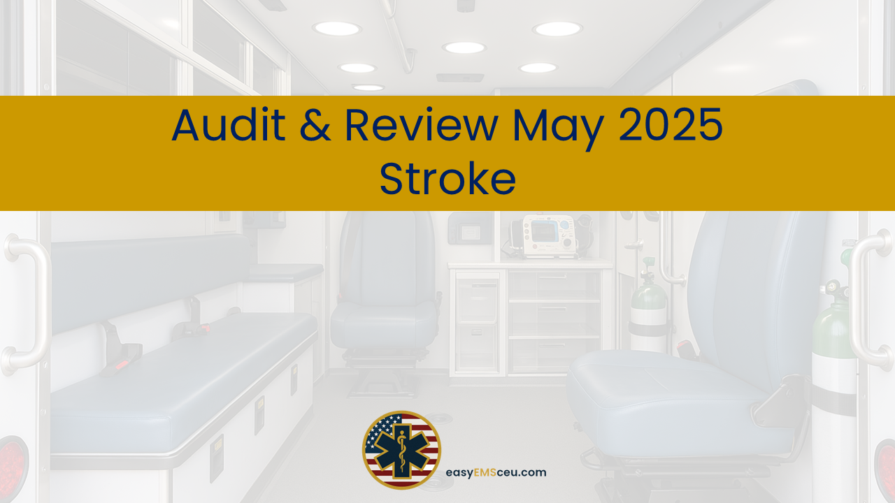 Audit & Review – May 2025 – Stroke