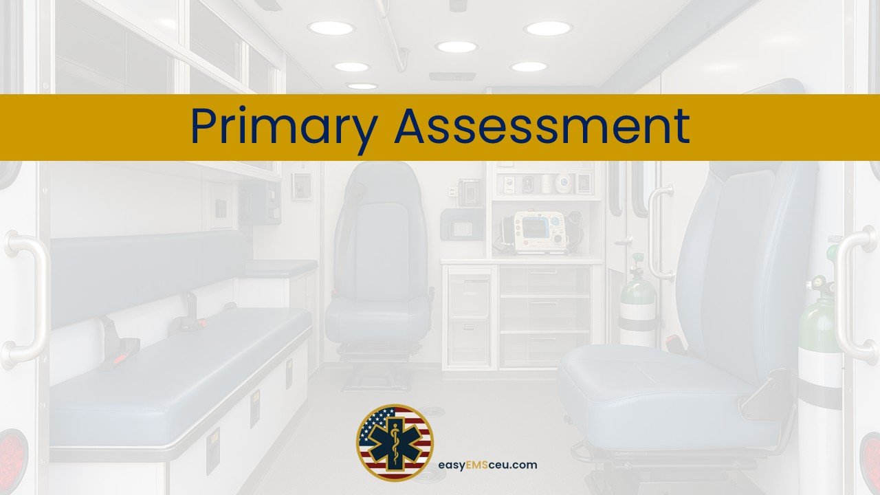 Primary Assessment