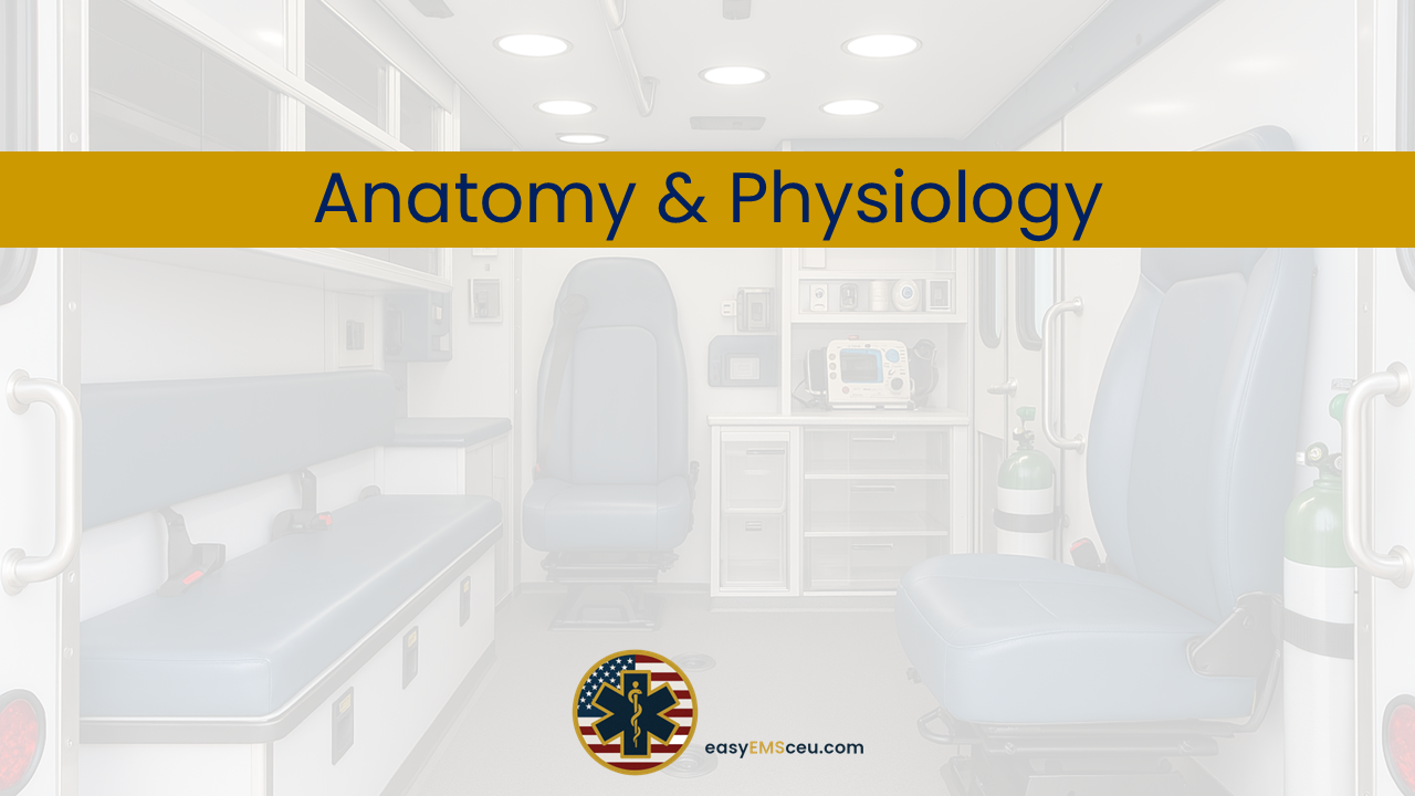 Anatomy & Physiology
